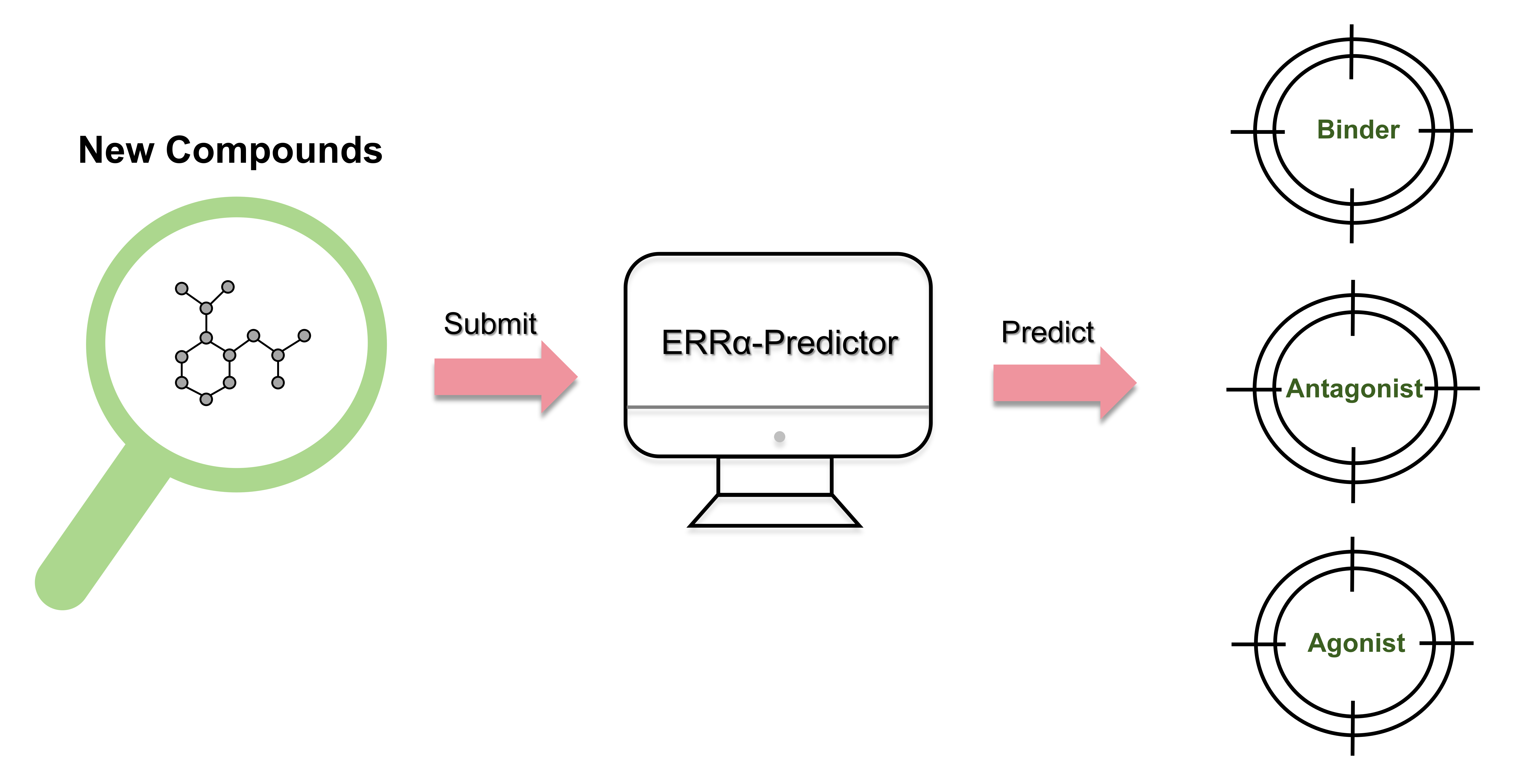 ERRalpha-Predictor