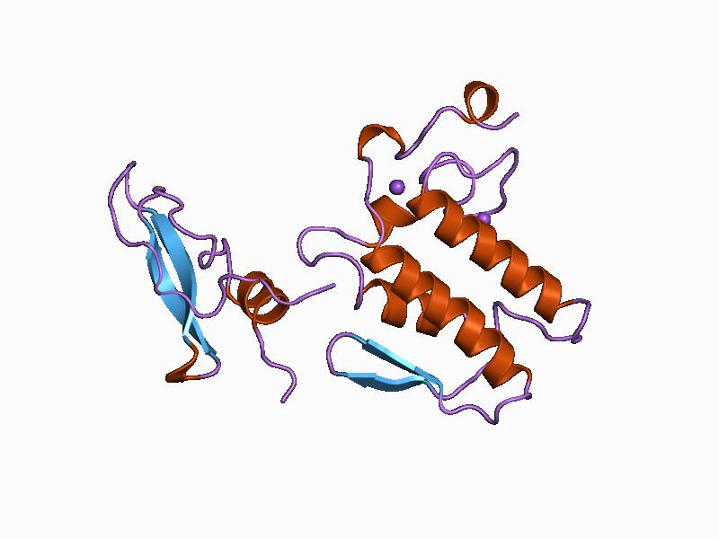 Ribbon structure of beta-2-bungarotoxin, PDB 1BUN